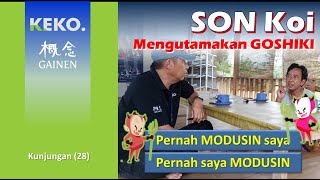 SON Koi Mengembangkan GOSHIKI  Pernah Saling Ngadalin sama Saya  Kunjungan 28 [upl. by Monroy]