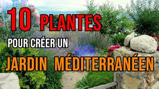 JARDIN MÉDITERRANÉEN  10 Plantes à Absolument Avoir  Quelles Plantes Choisir  Résistants au Froid [upl. by Tessi]