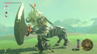 Enfrentamos al celnleon The Legend of Zelda Breath of the Wild [upl. by Cully79]