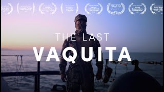 THE LAST VAQUITA  Full documentary HD [upl. by Finer]