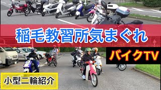 稲毛教習所気まぐれバイクTV 小型二輪紹介！バイクに興味ある方！ない方！是非ご覧ください！ [upl. by Nimad]