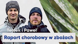 T1 w zbożach  Ochrona zbóż przed CHOROBAMI grzybowymi  epole do popisu 52 [upl. by Refotsirc]