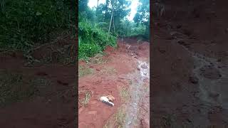 ഉരുൾപൊട്ടൽLandslip [upl. by Auqinom]