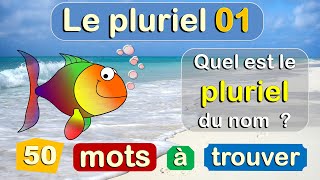 Orthographe et Grammaire Française  Le Singulier et le Pluriel des Noms [upl. by Pyne560]