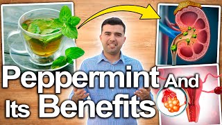 Peppermint Health Benefit for Health and Beauty  What is it for  100 SCIENTIFIC BASED [upl. by Sualkcin396]