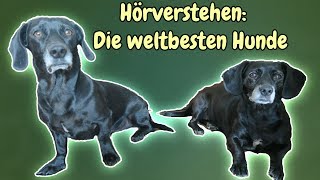 Hörverstehen Die weltbesten Hunde  Snoopy und Minou  B2C1 [upl. by China132]