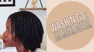 Wash n Go the dickey method best suited for type 4 hair [upl. by Thatch]