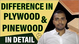 PLYWOOD VS PINEWOOD  Difference in Plywood and PINEWOOD  Which one is better for Furniture Use [upl. by Neeloj]