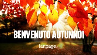 Benvenuto autunno e arrivederci estate ma che cosè lequinozio [upl. by Dorreg894]