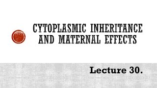 Lecture 30 Cytoplasmic inheritance PBG 201 [upl. by Lulita]