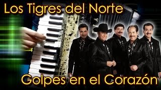 Golpes en el Corazón  Tigres del Norte  Acordeón de teclas Instruccional  tutoriall [upl. by Latea]