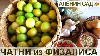 ЧТО ТАКОЕ ЧАТНИ Чатни из физалиса или томатилло 🍅 Tomatillo Chutney [upl. by Annaliese]