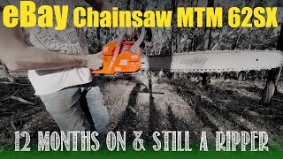 Using an 88 eBay chainsaw for 12 months  The MTM 62SX [upl. by Aisyle]