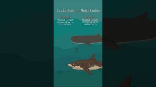 Megalodon vs Leviathan Prehistoric sea monsters size comparison [upl. by Assenab706]