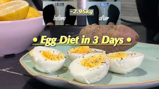 5746kg vlog  EGG DIET again for 3 DAYS [upl. by Enomed]