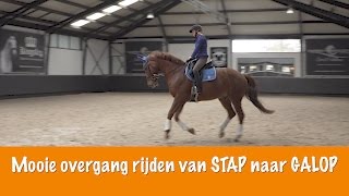 MOOIE OVERGANG RIJDEN van STAP naar GALOP  PaardenpraatTV [upl. by Enialahs]