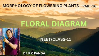 MORPHOLOGY OF FLOWERING PLANTS  FLORAL DIAGRAM NEET  CLASS11  DR RAMESH CHANDRA PANDA [upl. by Llenreb]