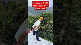 Agro movi o mundo motivacional noisnaroca nuncadesitadossonhos [upl. by Jane]