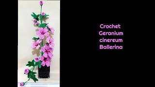 How to Crochet Geranium cinereum Ballerina flower [upl. by Botsford]