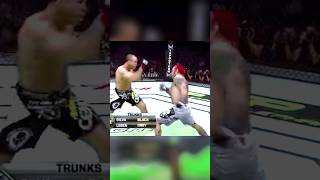 💥Chris Leben KOs SIlva in 30 Seconds⏱️ Shorts BKFC WanderleiSilva [upl. by Adams]