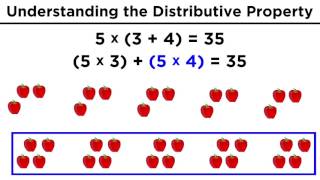 The Distributive Property for Arithmetic [upl. by Votaw]