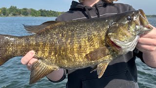 Mille Lacs Fishing Report Early September Smallmouth Walleye and Muskie [upl. by Lantha]