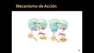 Inhibidores de la Tirosin Cinasa [upl. by Chyou]