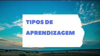 TIPOS DE APRENDIZAGEM [upl. by Aitnecserc]