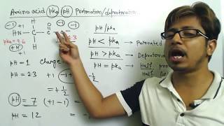 Amino acid charge at different pH and amino acid titration calculation problems [upl. by Eeresid]