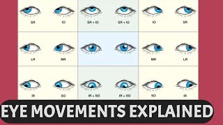 EYE MOVEMENTS EXPLAINED  Ductions versions vergence six cardinal gaze positions [upl. by Sands]