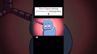 What to expect in third trimester funnyvideoinformedpregnancy pregnancywellbeing [upl. by Pittman]