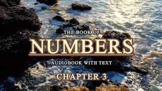 The Role and Duties of Israels Priesthood • Book of Numbers Audio Bible • Holy Bible Audio [upl. by Esoranna]