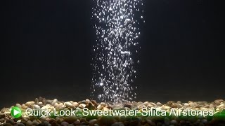 Sweetwater Silica Airstones DrsFosterSmith [upl. by Deloris]