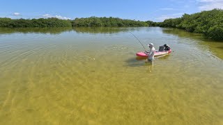 Epic Day of Paddle board Flyfishing in the Yucatan [upl. by Aivuy]