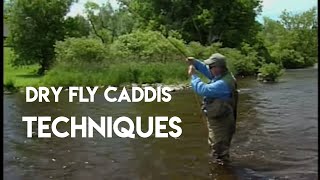 DRY FLY CADDIS TECHNIQUES [upl. by Marne]