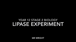 Lipase Experiment  Y12 SACE [upl. by Gnes824]