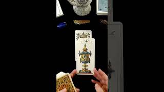 You Need To Hear This Message  Timeless Tarot Card Reading tarot lovereading short [upl. by Sally581]