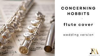 CONCERNING HOBBITS  FLUTE COVER  Lord of the Rings [upl. by Latrena]