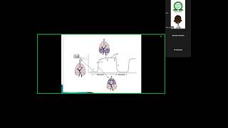 NSA Residents tutorial Capnography [upl. by Einnoj]