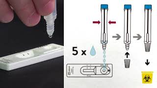 Rapid antigen screening [upl. by Schrick]