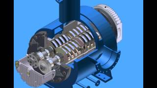 Twin Screw Pump Operation  Cutaway [upl. by Carny]