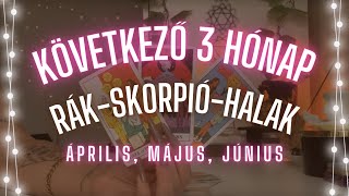 ✨ Vizes jegyek következő 3 hónap ✨ Rák Halak Skorpió ✨ április május június 2024 tarot ✨ [upl. by Lubet492]