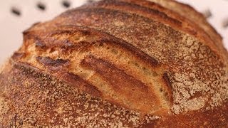 How to Mix Sourdough  Make Bread [upl. by Roswald]