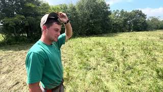 Isaac puts 800000 lbs stocking density on Sericea Lespedeza with cowcalf mob with 30minute moves [upl. by Adaha]