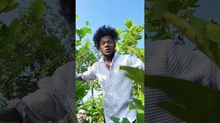 Renge tenge tenge comedy surajroxfunnyvibeo funny fun surajroxfun realfoolscomedy surajrox [upl. by Goerke]