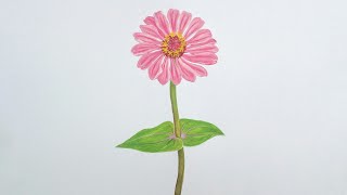 Zinnia Flower Drawing with Watercolor [upl. by Farley613]