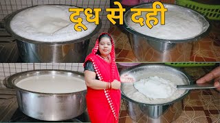 घर में जमाओ बजार जैसे परफेक्ट गाढ़ा दही  how to make dahi  cg vlogger Mamta [upl. by Ettinger724]