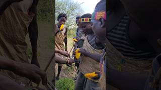 Hadzabe Hunters Sharing Wild HoneyBut is it Fairlyhadzabetribe shortsfeed [upl. by Letnuahs]