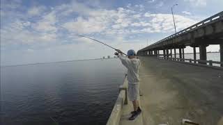 Pigfish and White Trout on Bob Sykes Fishing Pier [upl. by Lashondra533]