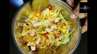 SOYA PANEER SALAD [upl. by Nitreb]